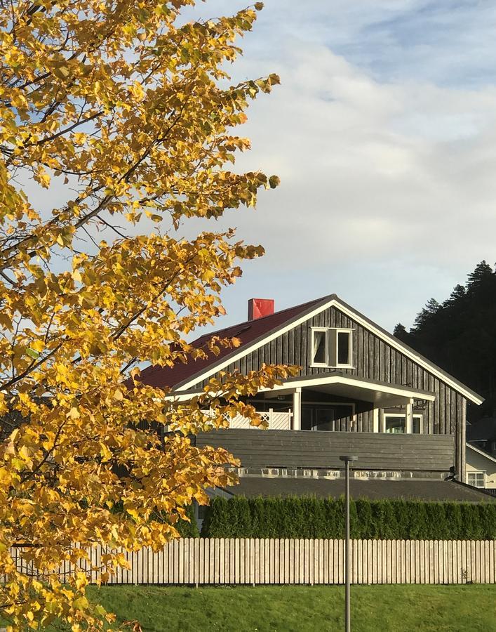 Villa Åndalsnes エクステリア 写真